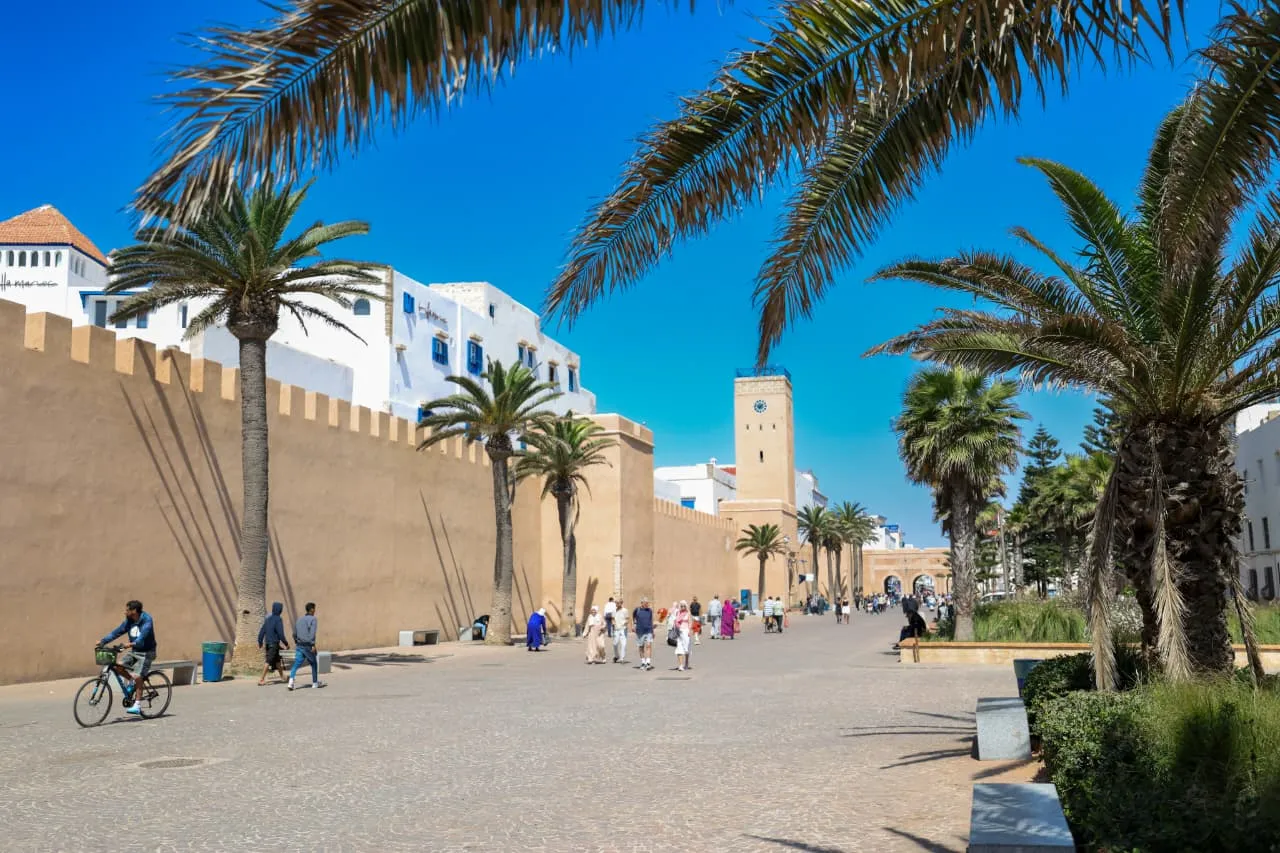 Promenade bord&eacute;e de palmiers le long des remparts de la m&eacute;dina d&rsquo;Essaouira
